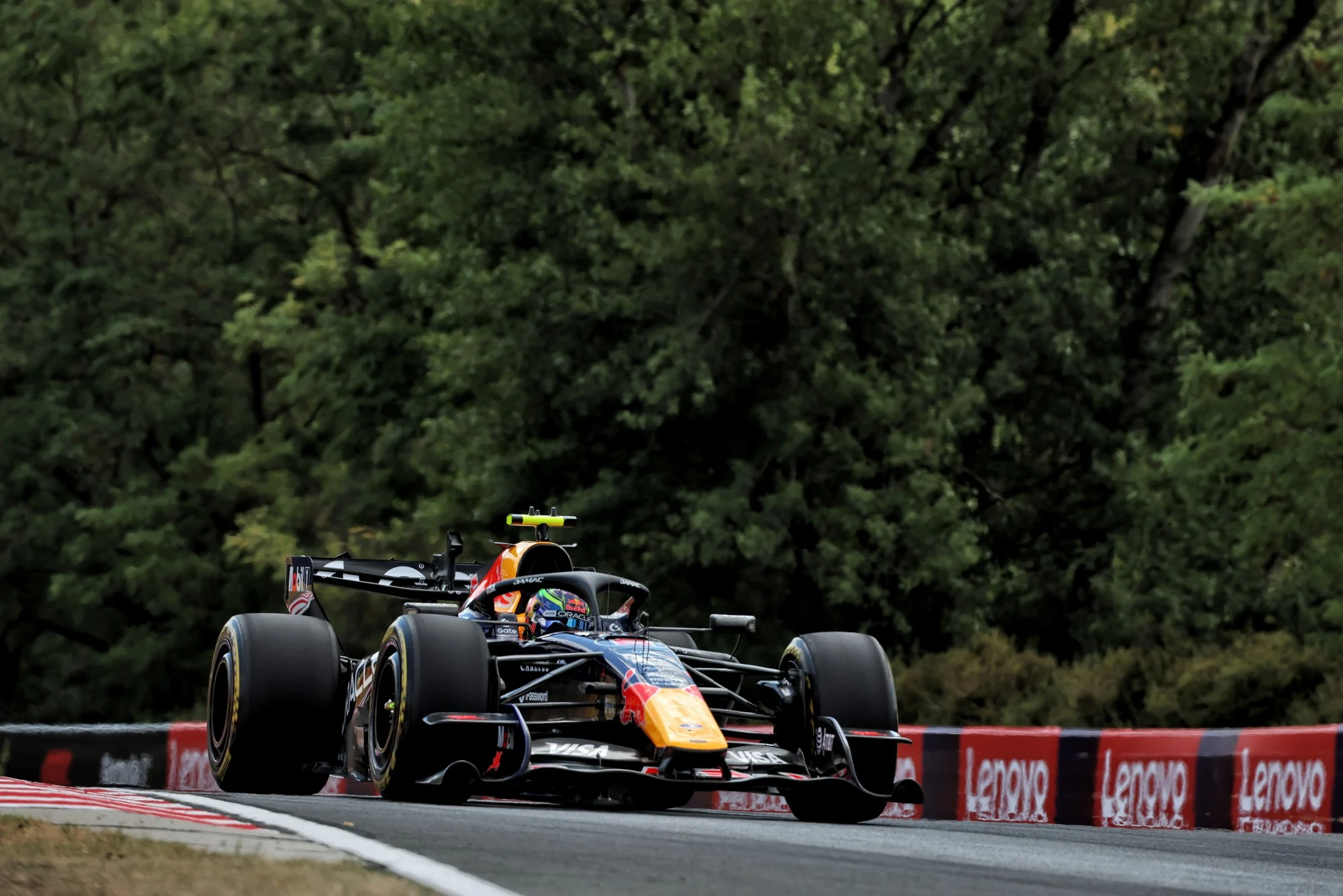 Isack Hadjar (FRA) Red Bull Racing RB22.